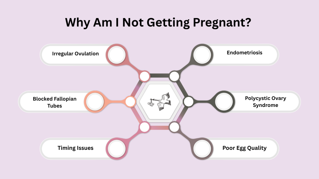 Why Am I Not Getting Pregnant? 10 Common Fertility Issues Explained
